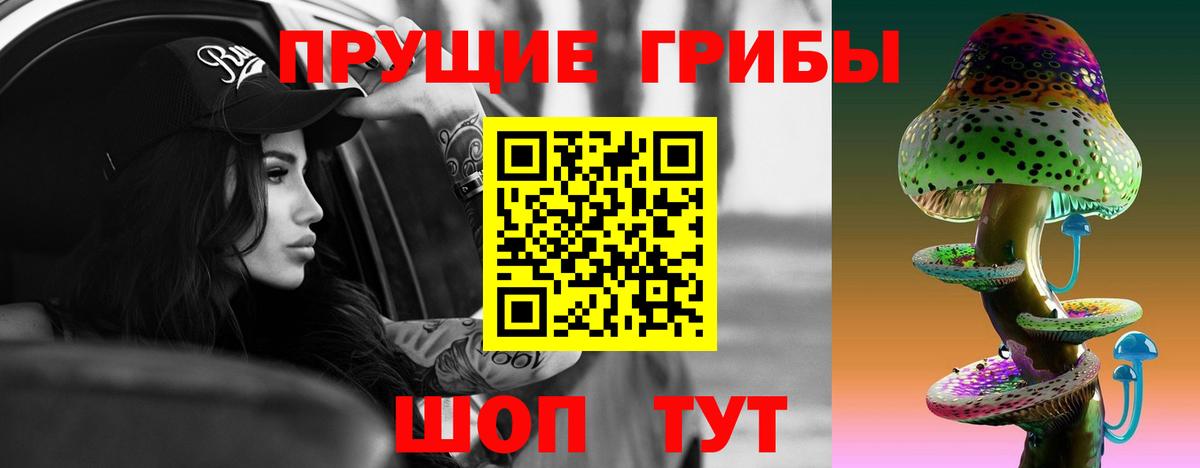 Аргун  Псилоцибиновые грибы MAGIC MUSHROOMS  Вход с VPN 