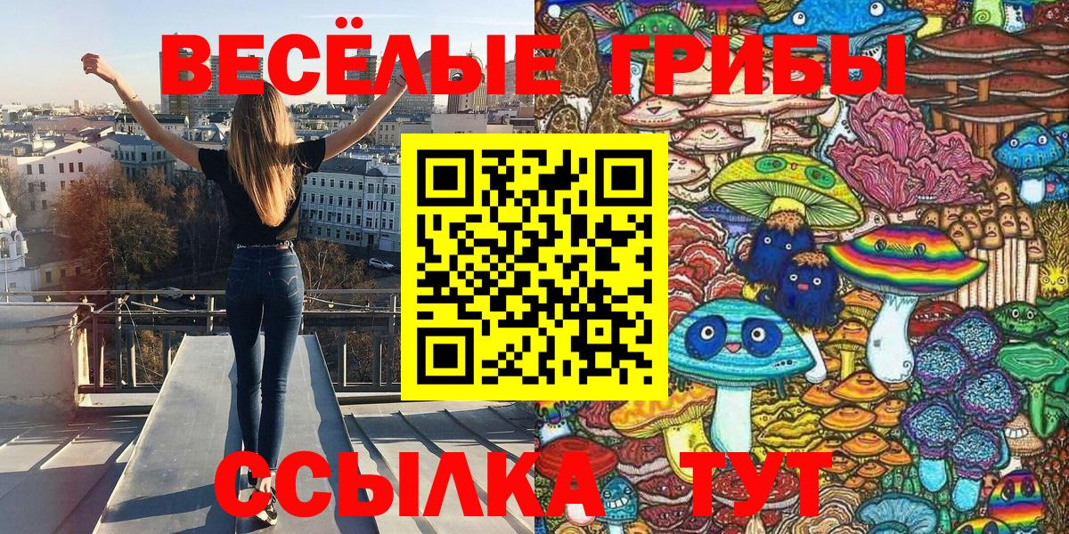 Галлюциногенные грибы Psilocybine cubensis Аргун